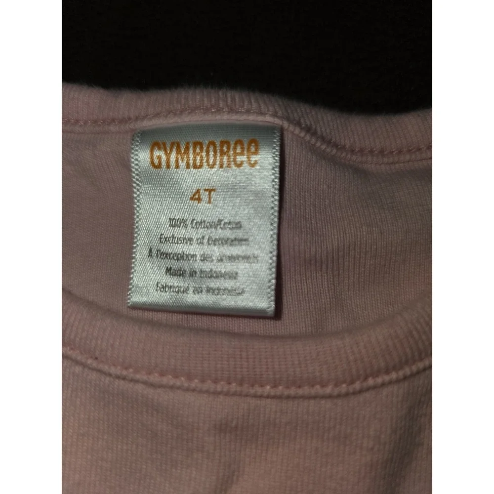 Gymboree back to school classroom cutie apple top and leggings size 4t